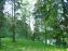  Земля на опушке леса для Дачного строительства по Новорижскому шоссе