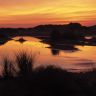 Wetland_and_Sand_Dunes_at_Sunset_Wadden_Islands_Holland_The_Netherlands