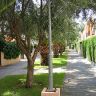     (Els Molins).  - 137.500 EUR -  (5)