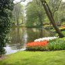 Keukenhof_Park_The_Netherlands