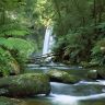 Hopetoun Falls, Aire River, Otway National Park, Victoria, Australia